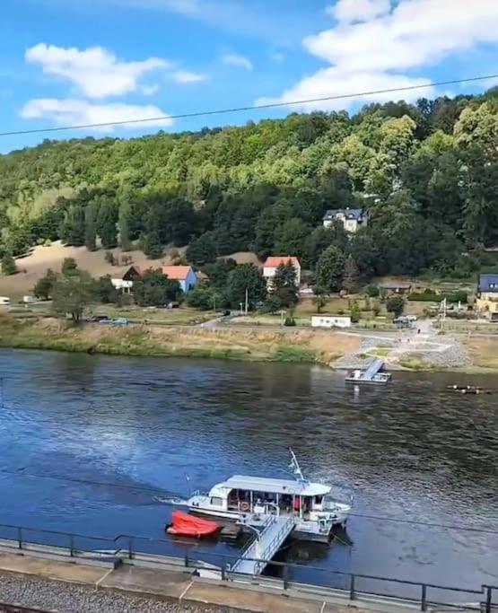 Elbblick Apartment Кьонихщайн ан дер Елбе Екстериор снимка