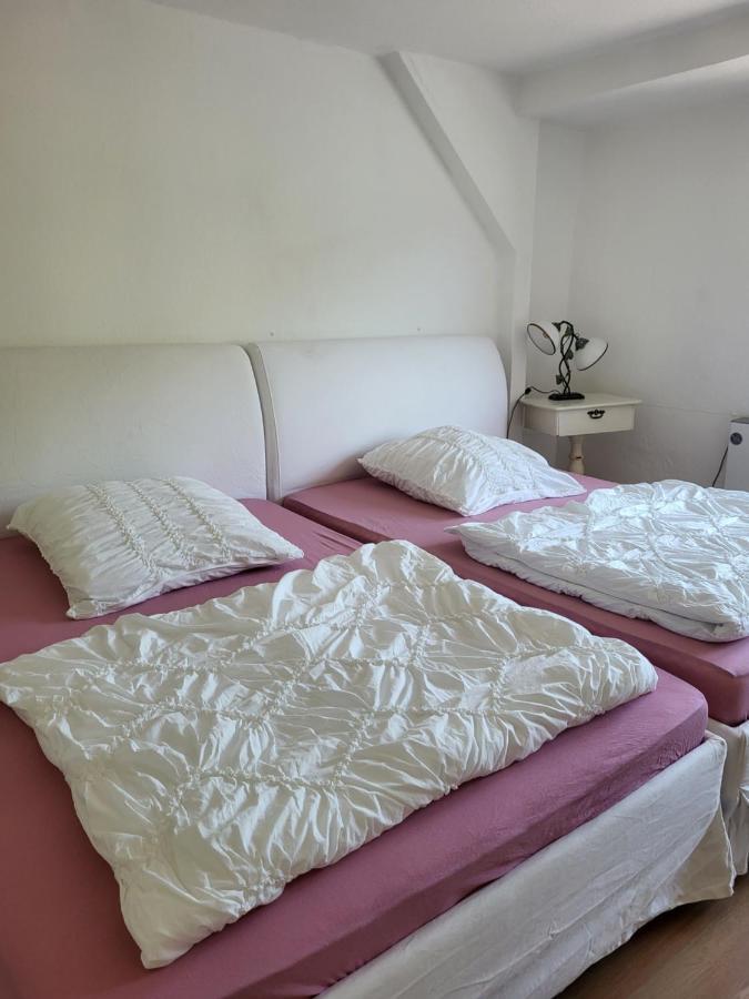 Elbblick Apartment Кьонихщайн ан дер Елбе Екстериор снимка